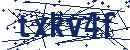 Güvenlik Kodu