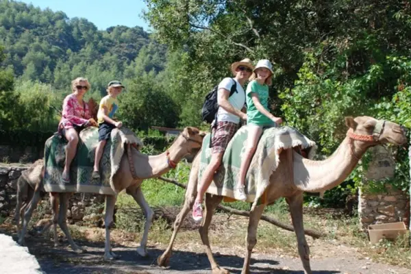 Fethiye Kayaköy Deve Safari Turu | Ölüdeniz Deve Gezisi Deneyimi